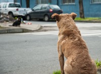 /album/urbana/dsc1596-5-jpg/